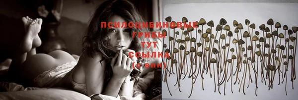 винт Вязники