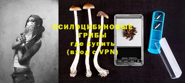 а пвп мука Вяземский